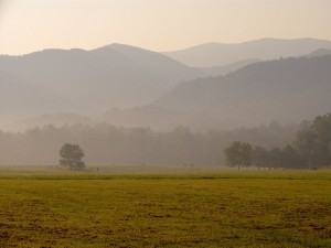 Mountain Views